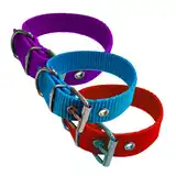 Collar y Correa Model Liso Polipropileno 30 mm X 60 cm Nº7 para Perros