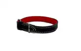 Collar Kipper de Cuero con Felpa Nº4 para Perros