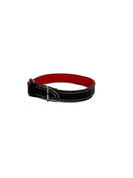 Collar Kipper de Cuero con Felpa Nº4 para Perros