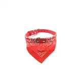 Collar Per-Ros C/pañuelo de Tela Chico 1.5 x 41 cm - para Perros