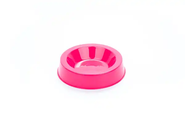 Comedero Bebedero Petsplast Mini para Gatos