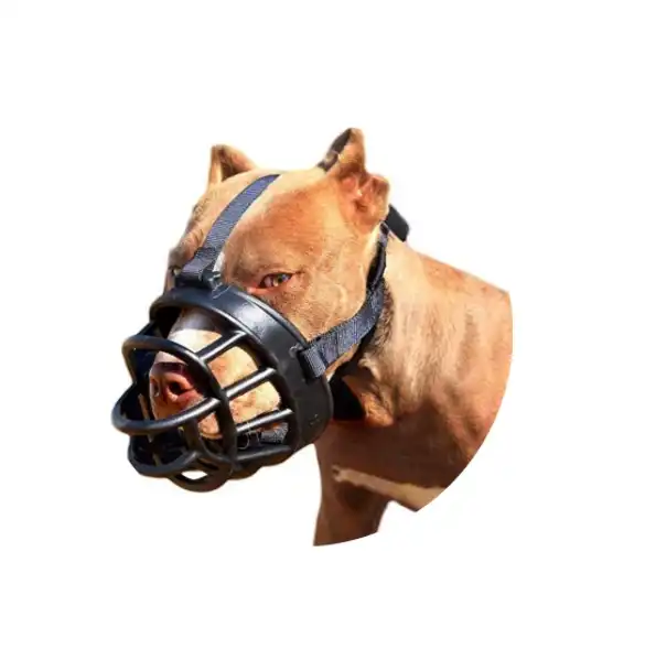 Collar y Correa Per-Ros Bozal Silicona Grande Nº3 - para Perros