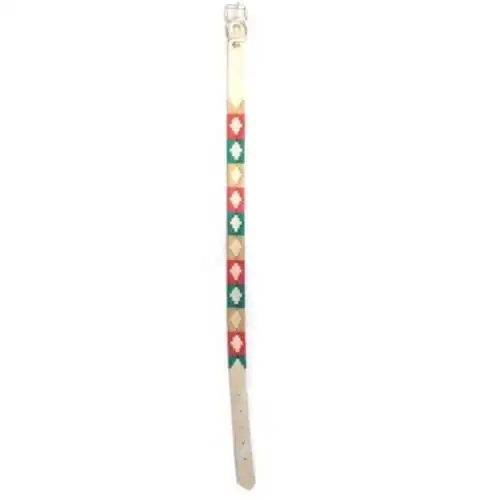 Collar DM Bordado 2.5 cm X 75 cm para Perros