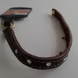 Collar y Correa Mister Hueso Nobuk C/strass para Gatos