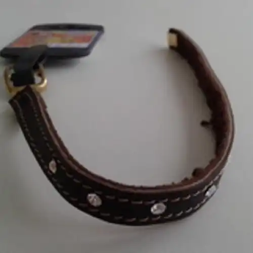 Collar y Correa Mister Hueso Nobuk C/strass para Gatos