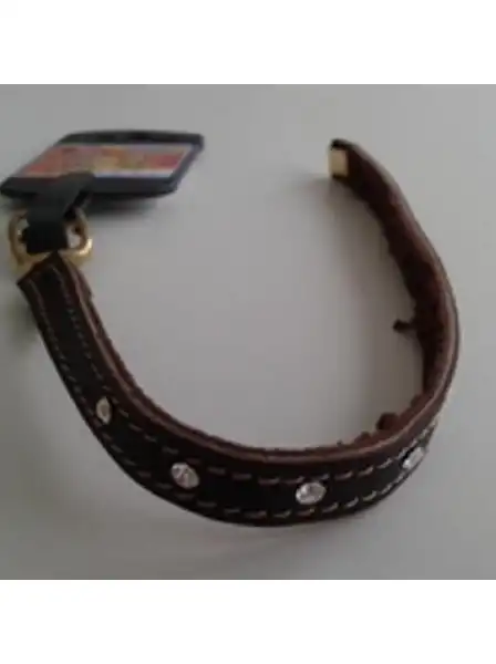 Collar y Correa Mister Hueso Nobuk C/strass para Gatos