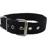 Collar Mister Hueso Nylon Doble Reforzado para Perros