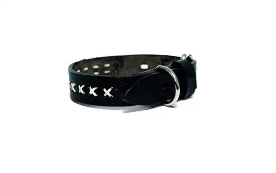 Collar Kipper de Cuero con Cruces Nº1 - para Perros