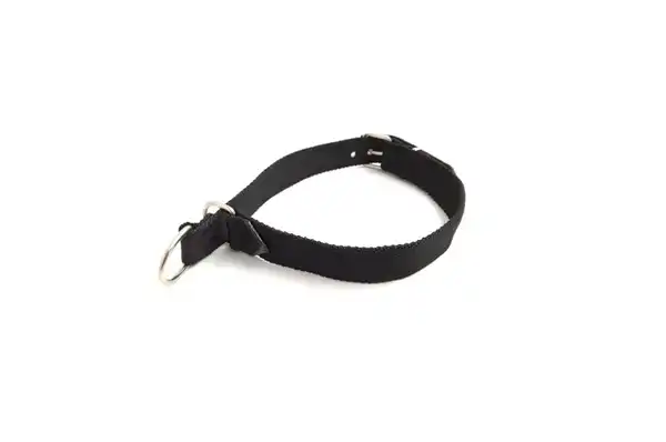 Collar Mister Hueso Nylon Semiahorque Ancho 68 x 3 cm para Perros