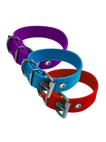 Collar y Correa Model Liso Prolipropileno 30 mm X 70 cm NRO9 para Perros