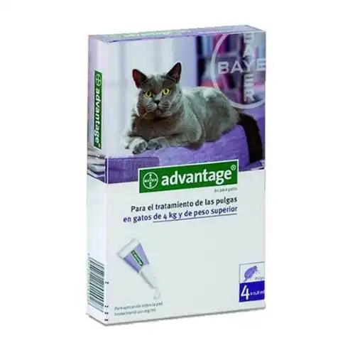 Pipeta Bayer Advantage Gato 4 a 8 kg