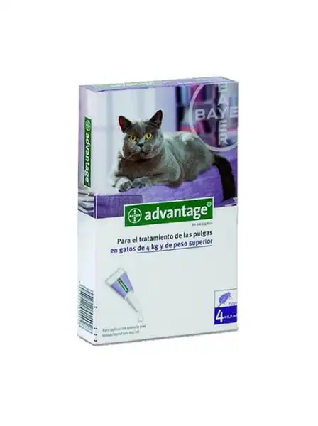 Pipeta Bayer Advantage Gato 4 a 8 kg