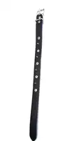 Collar DM con Puas 2.5 cm X 75 cm para Perros
