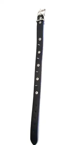 Collar DM con Puas 2.5 cm X 75 cm para Perros